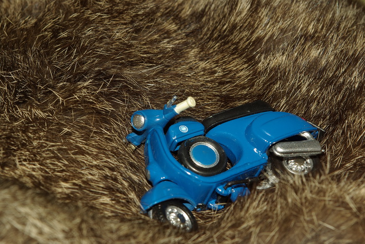 Test macro: vecchio zoom Pentax F 28/80 montato su  K10D